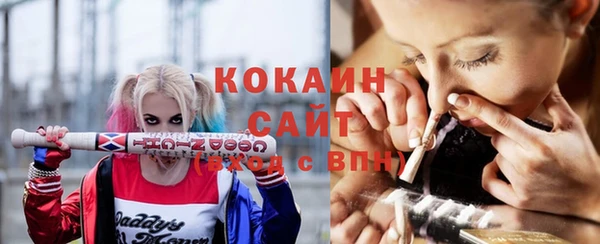дживик Баксан