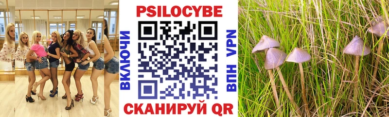 Псилоцибиновые грибы Cubensis  Ялуторовск 